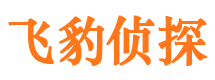 深圳市私家侦探